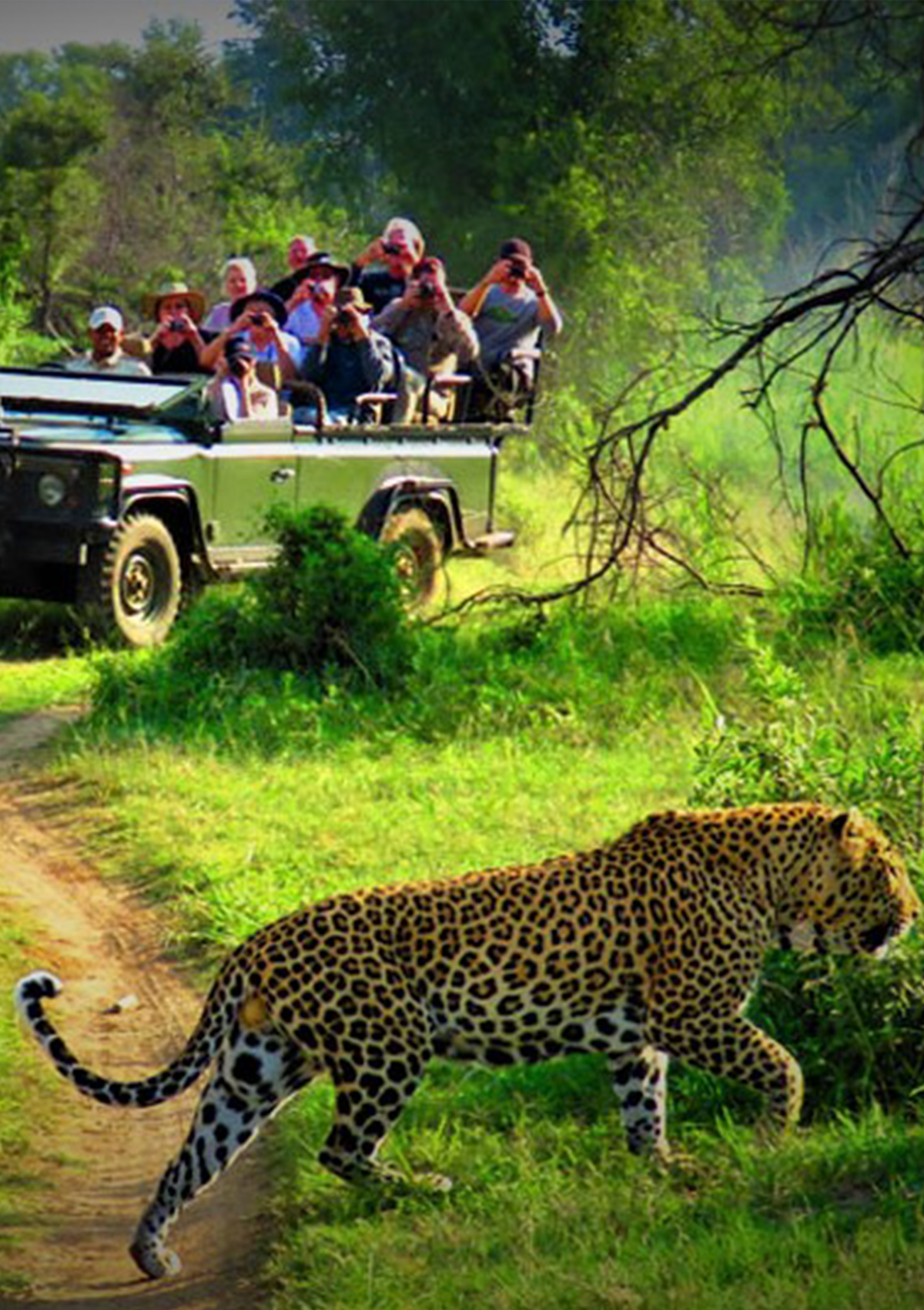 Linkage Tours
